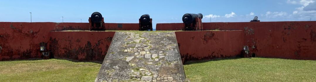Picture af kanoner på Fort Frederik