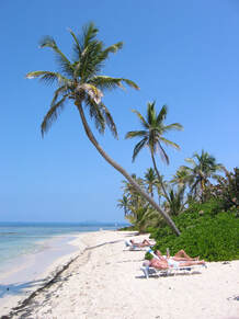 Picture af strande p St. Croix